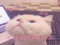 汉寿县富生学梓商贸有限公司