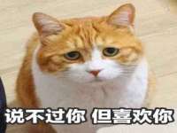 汉寿县富生学梓商贸有限公司