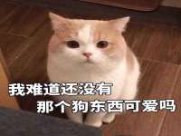 汉寿县富生学梓商贸有限公司