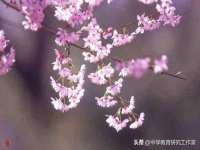 汉寿县富生学梓商贸有限公司
