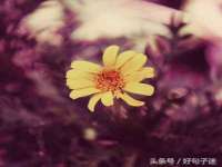汉寿县富生学梓商贸有限公司