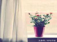 汉寿县富生学梓商贸有限公司