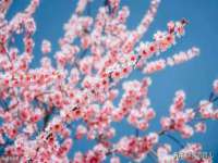 汉寿县富生学梓商贸有限公司