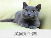 汉寿县富生学梓商贸有限公司