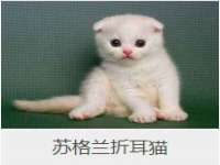 汉寿县富生学梓商贸有限公司