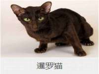 汉寿县富生学梓商贸有限公司