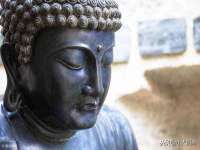 汉寿县富生学梓商贸有限公司