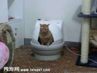 汉寿县富生学梓商贸有限公司