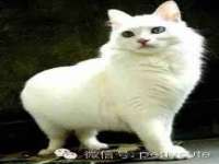 汉寿县富生学梓商贸有限公司