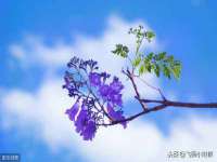 汉寿县富生学梓商贸有限公司