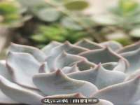 汉寿县富生学梓商贸有限公司