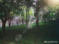汉寿县富生学梓商贸有限公司