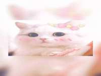 汉寿县富生学梓商贸有限公司