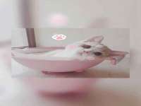 汉寿县富生学梓商贸有限公司