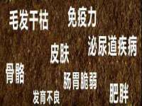 汉寿县富生学梓商贸有限公司