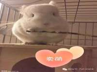 汉寿县富生学梓商贸有限公司