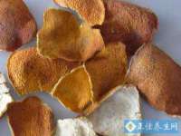 汉寿县富生学梓商贸有限公司