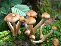 汉寿县富生学梓商贸有限公司