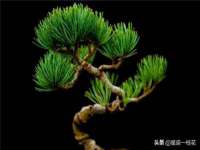汉寿县富生学梓商贸有限公司